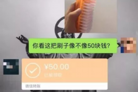 模拟人生讨债者:揭秘虚拟世界中的债务危机 模拟人生讨债者:揭秘虚拟世界中的债务危机