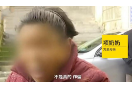 镇坪要钱公司排名:揭秘镇坪地区最具实力的企业 镇坪要钱公司排名:揭秘镇坪地区最具实力的企业